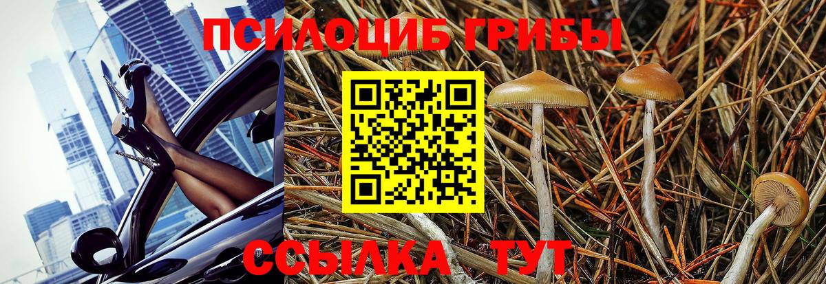 Советский  Галлюциногенные грибы ЛСД  Вход с VPN 
