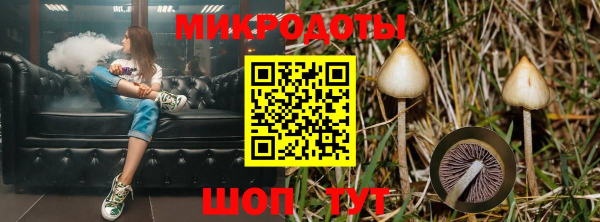 Галлюциногенные грибы мицелий Советский